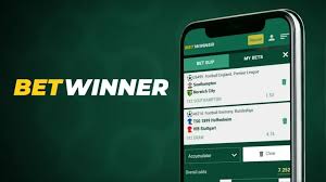 Discover the Benefits of BetWinner APK
